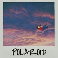 Curtis Worgan - Polaroid