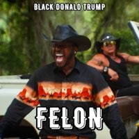Black Donald Trump - Felon