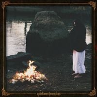 L&aacute;stima - A Pain Bloomed From My Lungs