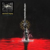 Phuture Noize - Open Heart Surgery