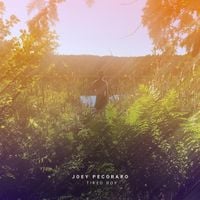 Joey Pecoraro - Tired Boy