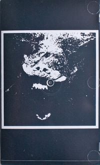 Tooth Decay - +HIRS+ // Tooth Decay