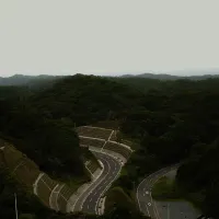 電球 [denkyu] - 集合