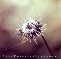 Soul Whirling Somewhere - Everyone will eventually leave you