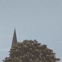 All That Heaven Allows - All That Heaven Allows