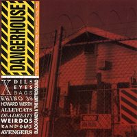 Various Artists - Dangerhouse Volume One