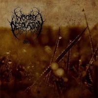 Woods of Desolation - Sorh