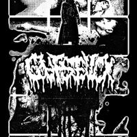 GUTSFUCK - GUTSFUCKxDEMO 2023