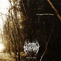Woods of Desolation - Toward the Depths