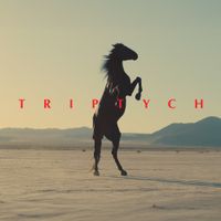 Miss Velvet - Triptych