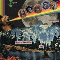 Spillage Village - Bears Like This Too