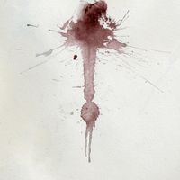 Aihvhia - Turritopsis Nutricula