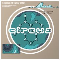 Flux Pavilion - 20:25