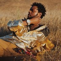 serpentwithfeet - soil reprise