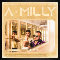 Dardan - a miLLy
