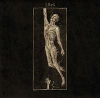 Löri - L&Ouml;RI