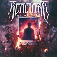 Reaching As We Fall - Life in Memories