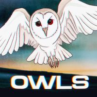 Luke Westaway - OWLS