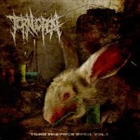 Torn Open - TORN THE FUCK OPEN Vol. 1