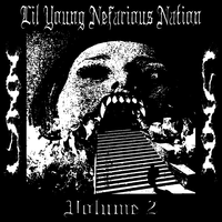Lil Young Nefarious Nation - LYNN TAPE 2