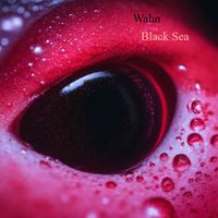 Wahn - Black Sea