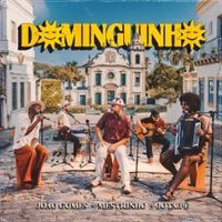 Jo&atilde;o Gomes, Mestrinho, Jota.p&ecirc; - Dominguinho