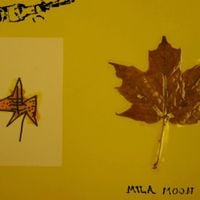 Mila Moon - In Transit