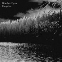 Desolate Tapes - Escapism