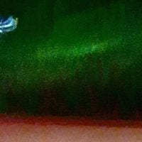 Culturally Dead - Ulʹtur&aelig;