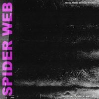 Wicca Phase Springs Eternal, Clams Casino, & Fish Narc - Spider Web