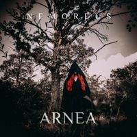 Nemoreus - Arnea