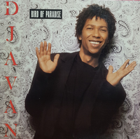 Djavan - Bird Of Paradise