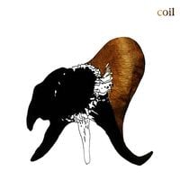Coil - Sex With Sun Ra (Part Two -  Sigillaricia)
