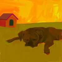 Kwame Adu - a Dog can do so much!
