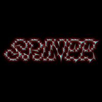 Spinee - Distant Promise