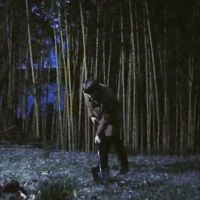 Computer Kill - enoughforyou