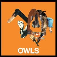 Owls - Owls