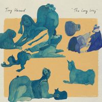 Tiny Hazard - The Long Way