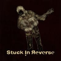The Swell Season - Stuck in Reverse