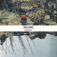 Field Guides - Boo, Forever