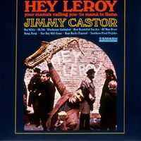The Jimmy Castor Bunch - Hey Leroy