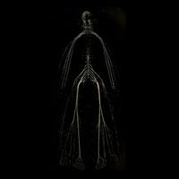 Colossal Letdown - Fear of the Dark