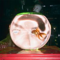 Daisy the Great - Mary's At The Carnival