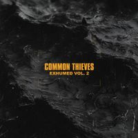 Common Thieves - Exhumed, Vol. 2