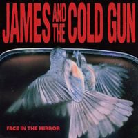 James And The Cold Gun - Face in the Mirror