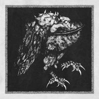 Nekrodeus - Rua&szlig;