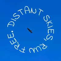 Dola - Distant Skies, Run Free