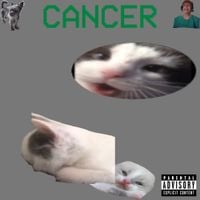 flylodev - CANCER (2025 Remaster)