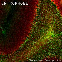 Entrophobe - Incessant Entrophilia