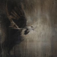 Strike The Colours - Flock